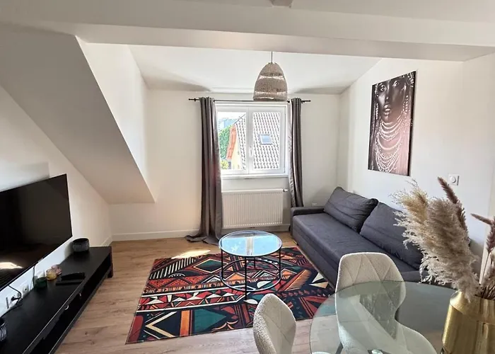 Apartman Soh Rent 3 Tv Wifi Schiltigheim