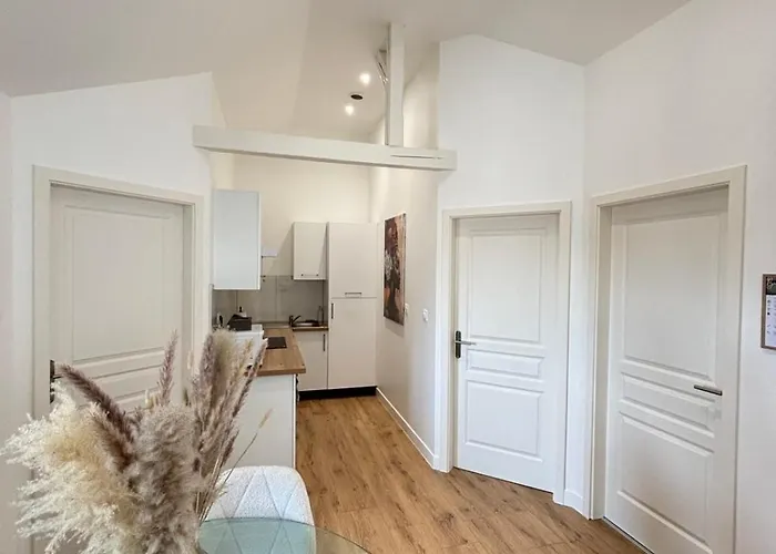 Soh Rent 3 Tv Wifi Apartman Schiltigheim